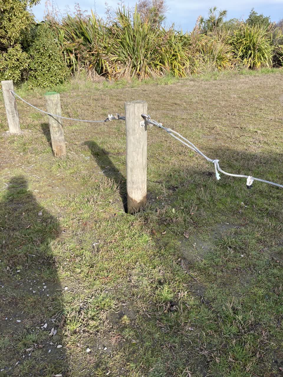 The photograph attached to this parks report