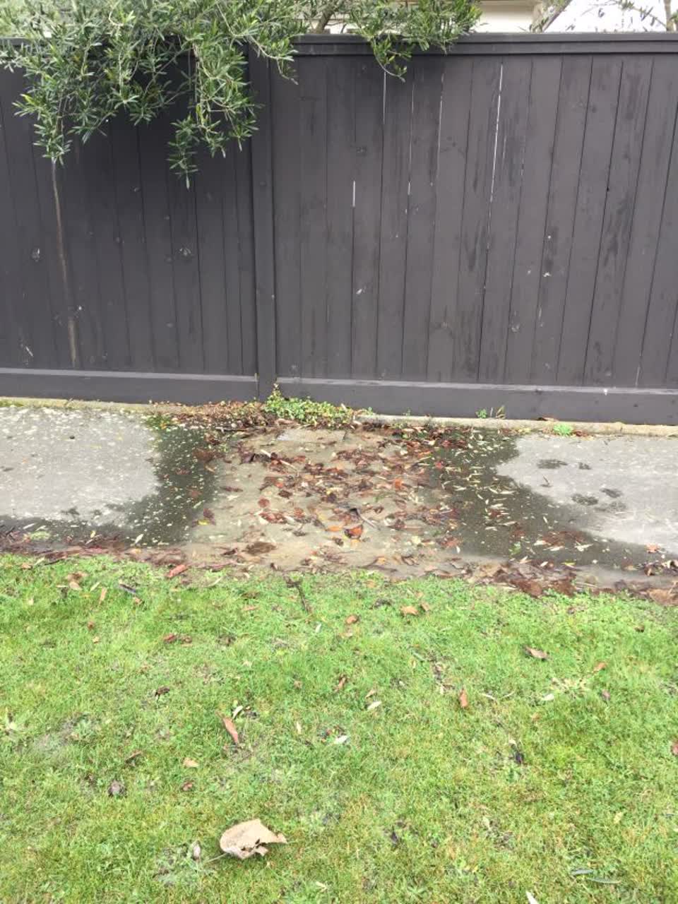 The photograph attached to this water leak report