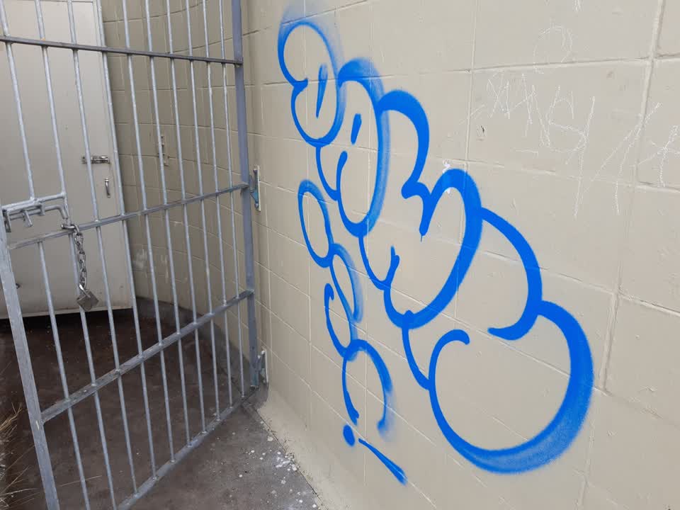 The photograph attached to this graffiti report