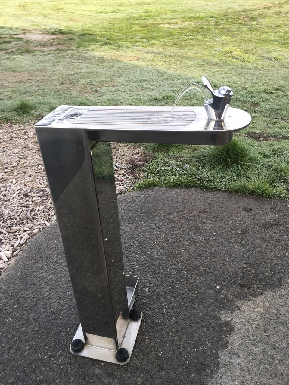 The photograph attached to this parks report