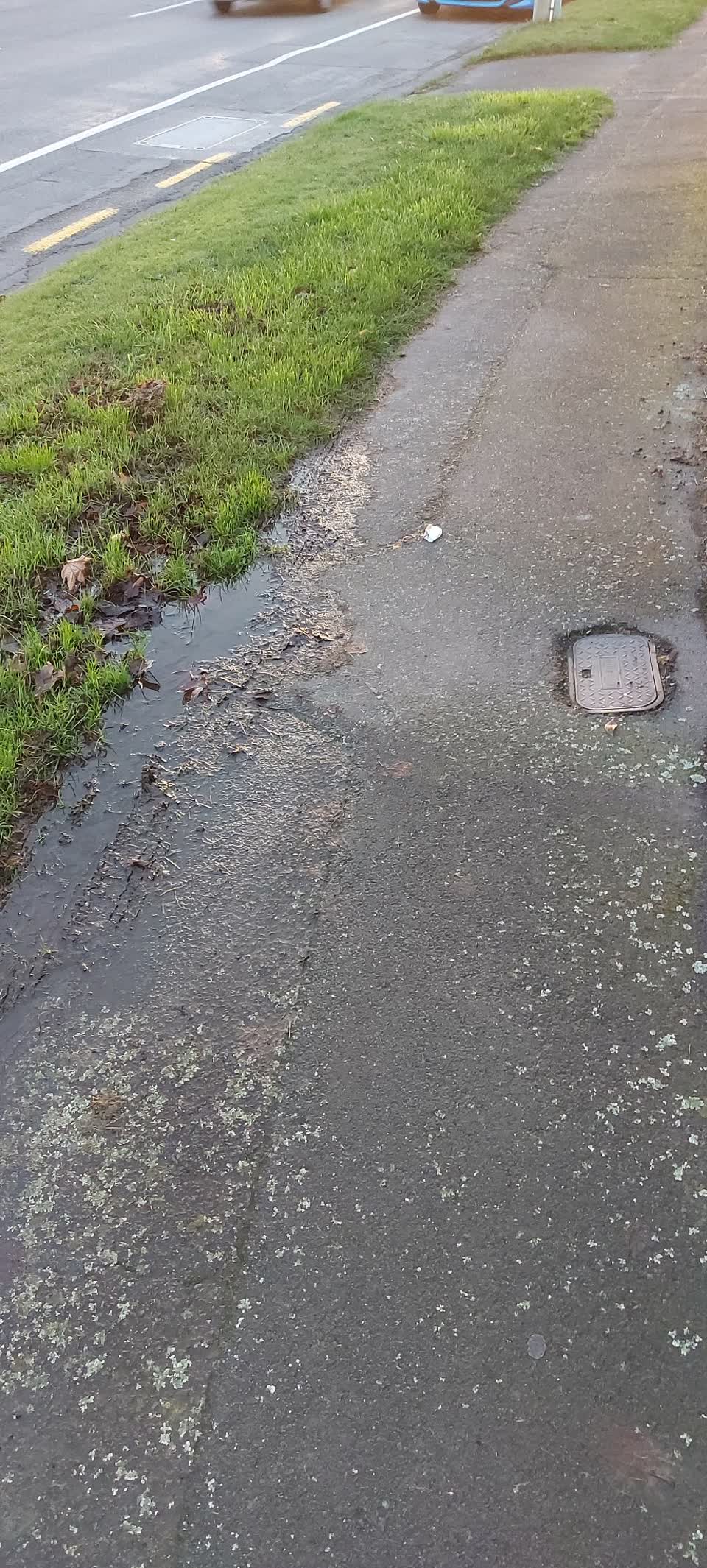 The photograph attached to this water leak report