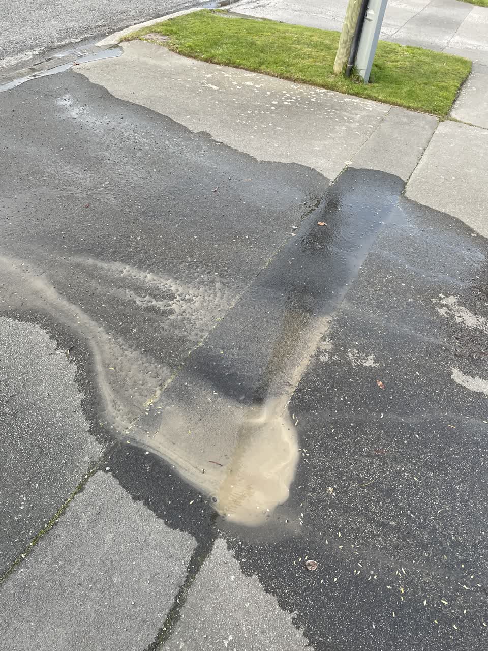 The photograph attached to this water leak report