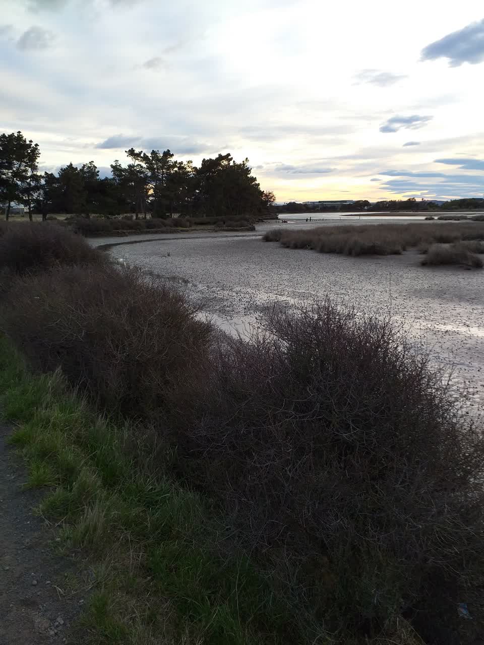 The photograph attached to this sewer odour report