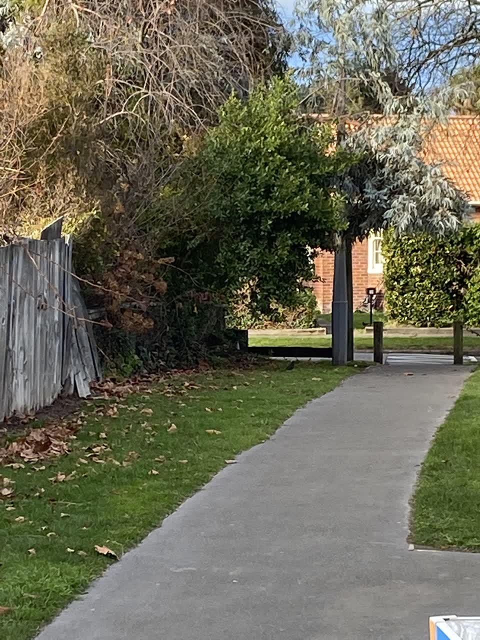 The photograph attached to this parks report