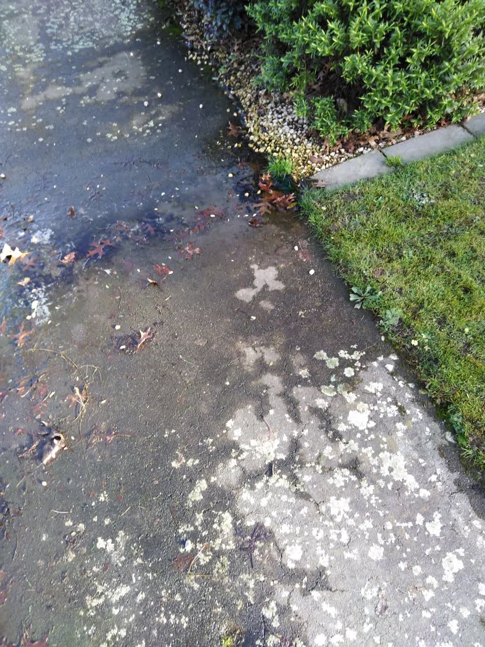 The photograph attached to this water leak report