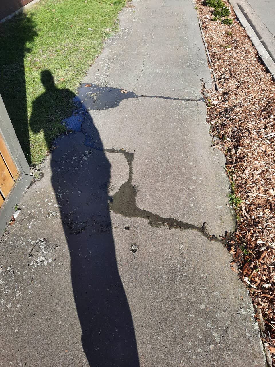 The photograph attached to this water leak report