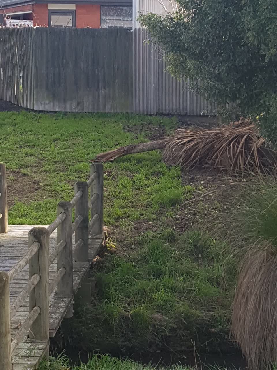 The photograph attached to this parks report