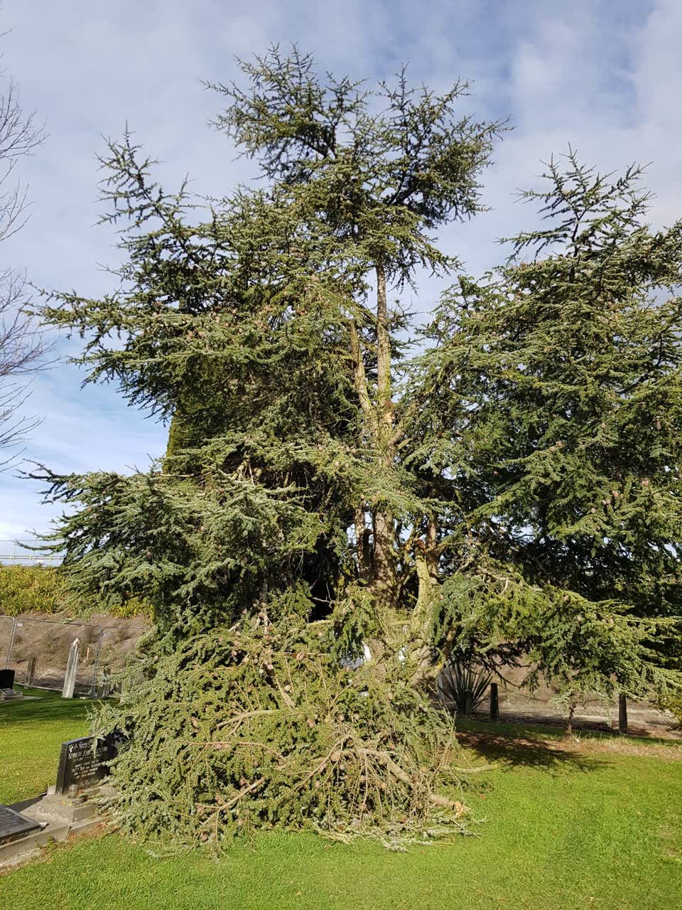 The photograph attached to this parks report