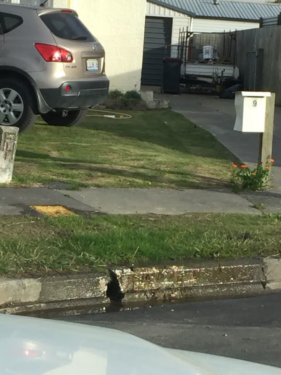 The photograph attached to this water leak report