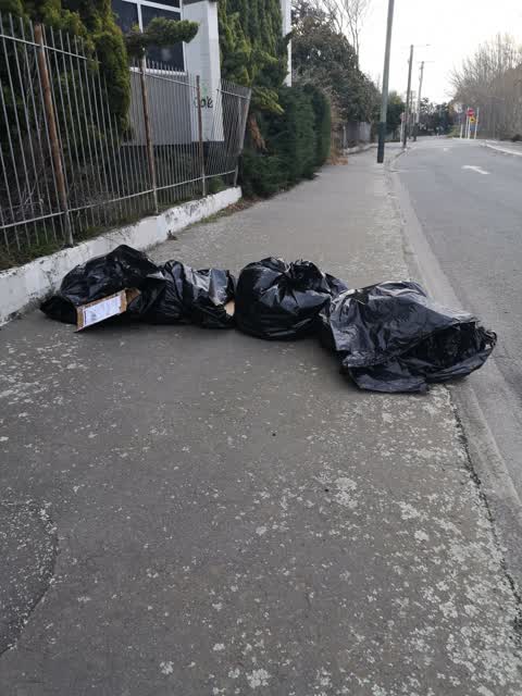 Rubbish/Recycling, a report photo