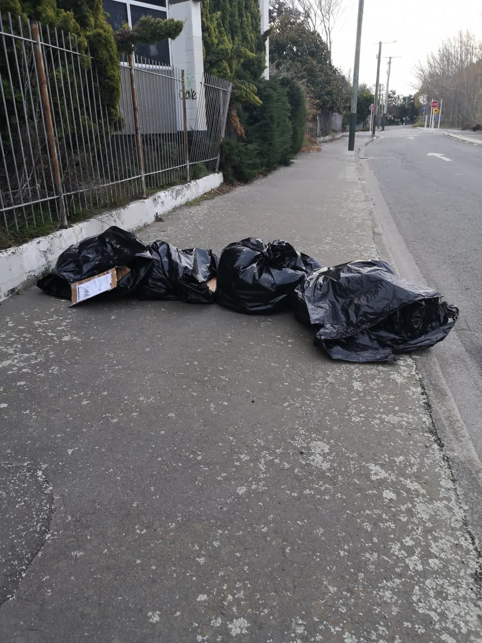 The photograph attached to this rubbish/recycling report