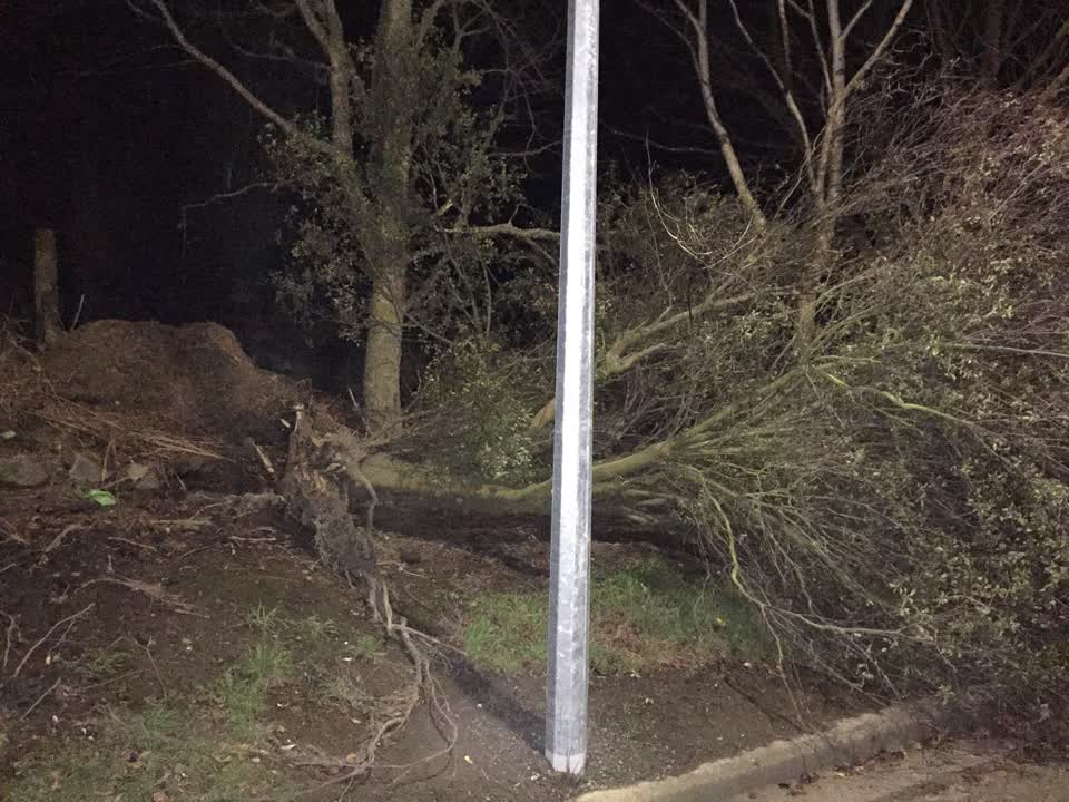 The photograph attached to this parks report