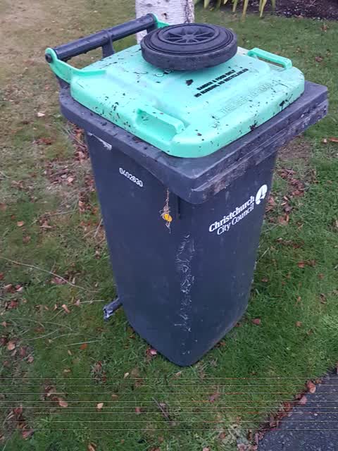 Rubbish/Recycling, a report photo