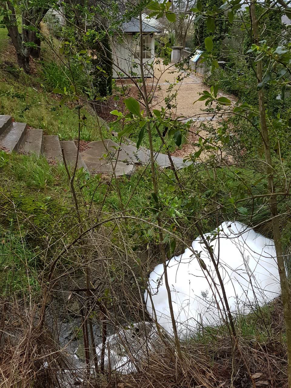 The photograph attached to this parks report