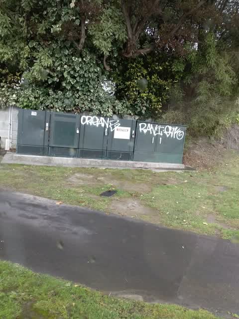 Graffiti, a report photo