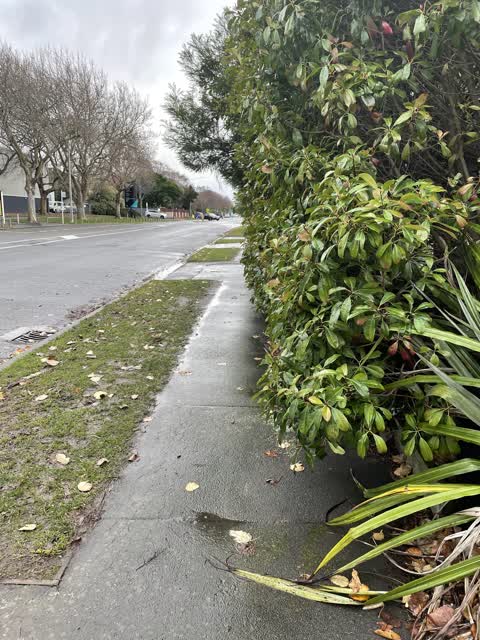 Roading/Streets, a report photo