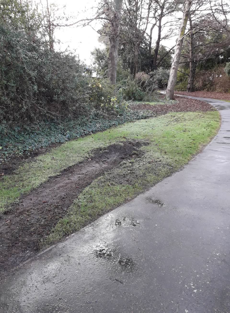 The photograph attached to this parks report