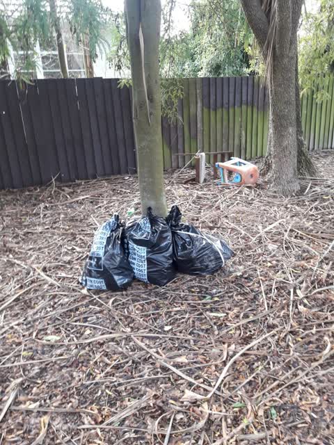 Parks, a report photo