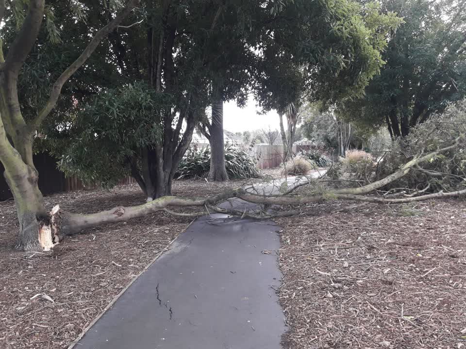 The photograph attached to this parks report