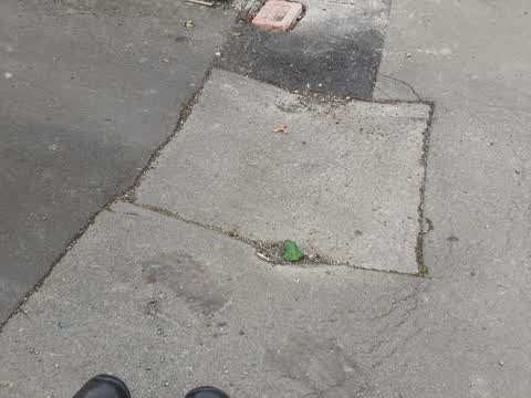 Roading/Streets, a report photo