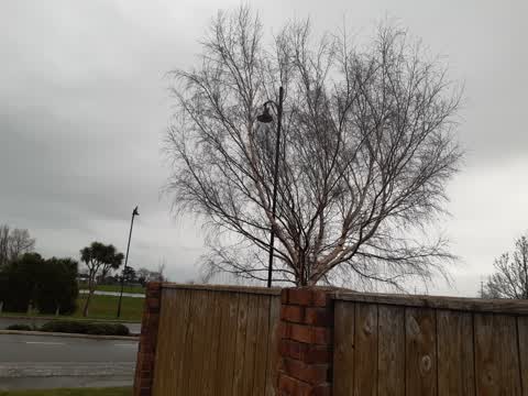 Street Light Outage, a report photo