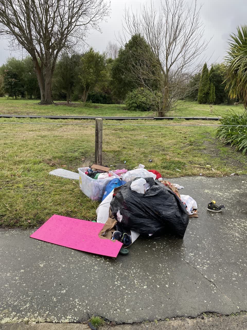 The photograph attached to this rubbish/recycling report
