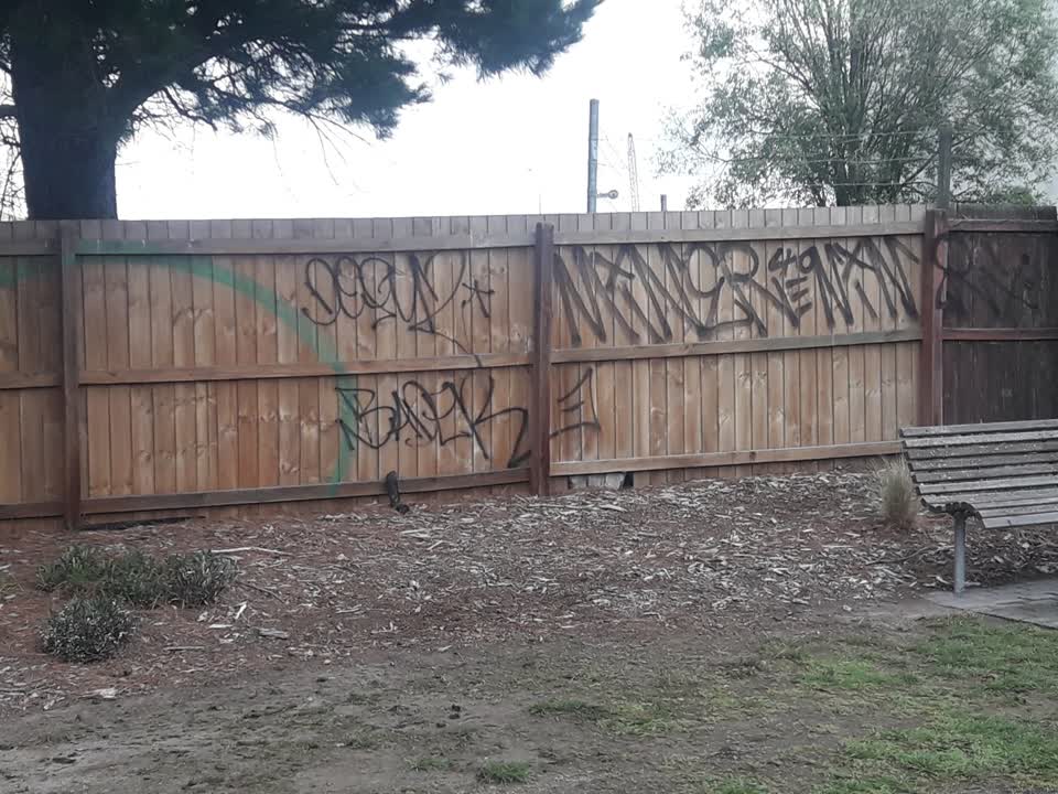 The photograph attached to this parks report