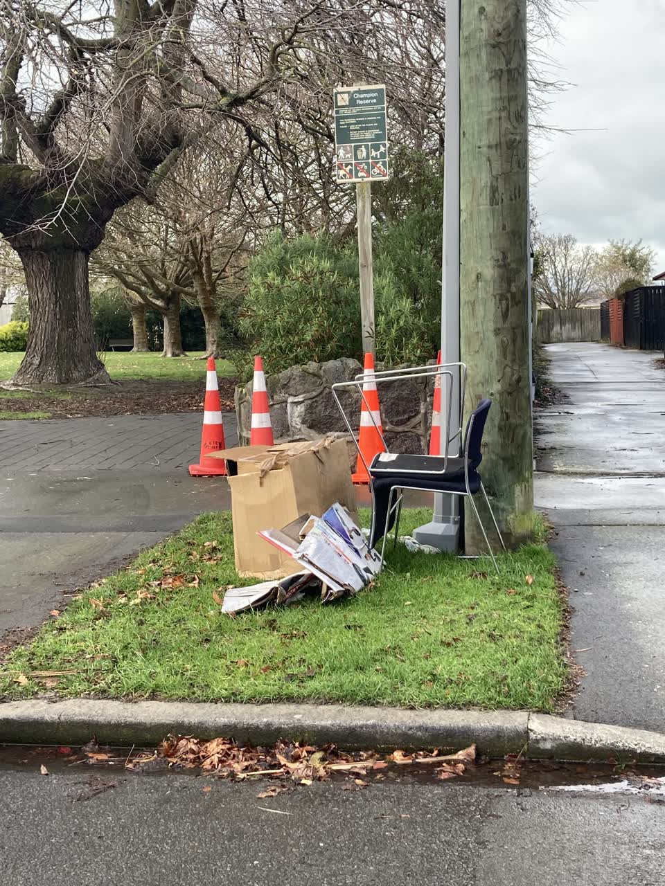 The photograph attached to this rubbish/recycling report