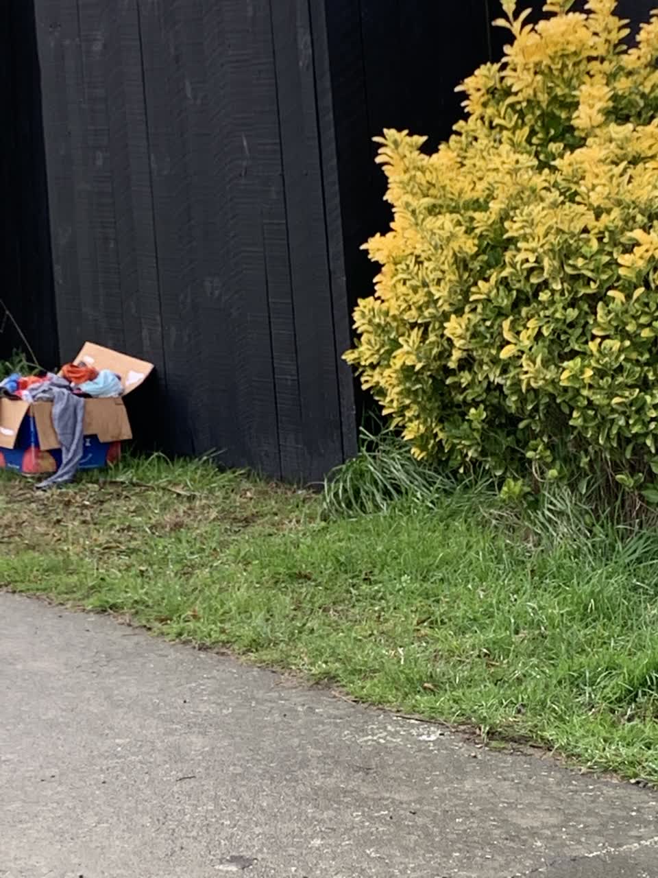 The photograph attached to this rubbish/recycling report