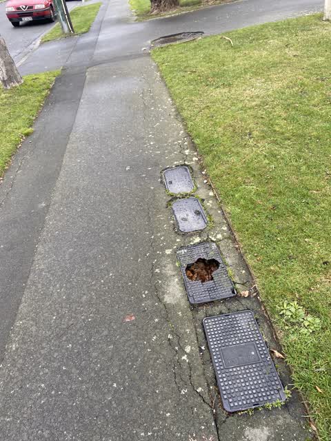 Roading/Streets, a report photo