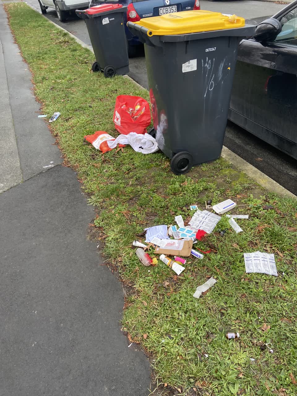 The photograph attached to this rubbish/recycling report