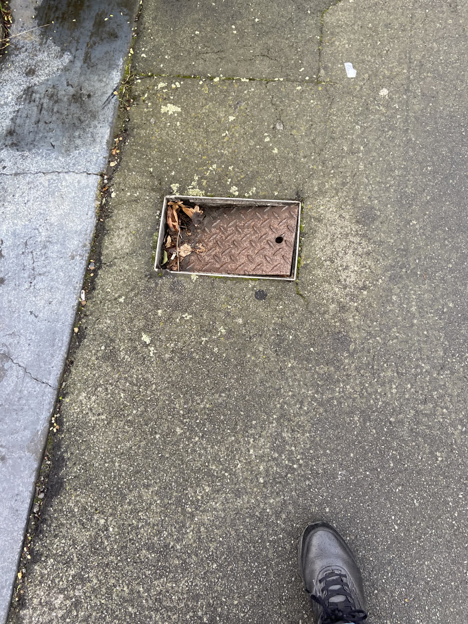 The photograph attached to this roading/streets report