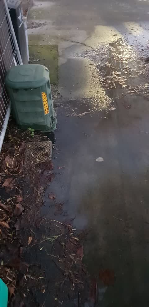 Water Leak, a report photo