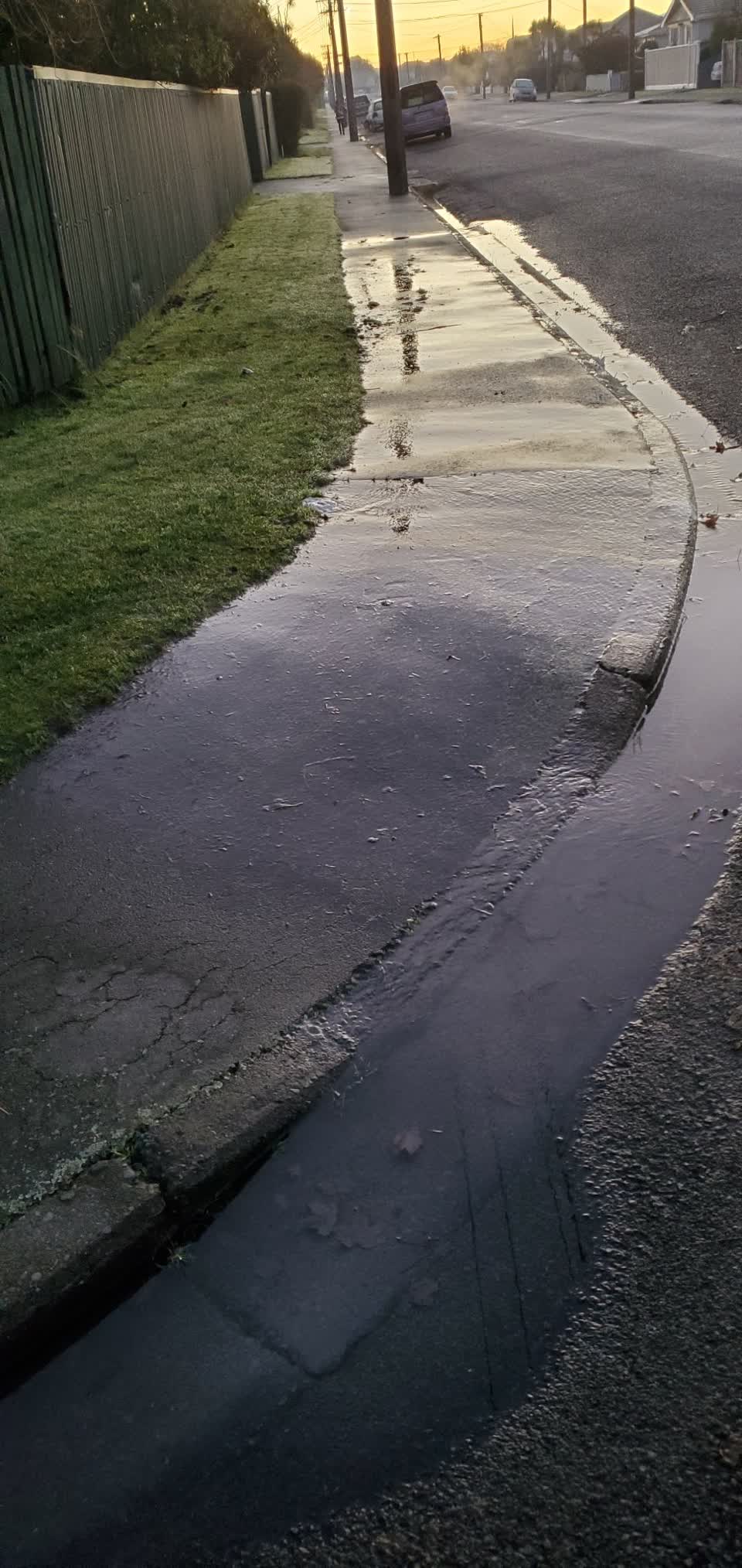 The photograph attached to this water leak report