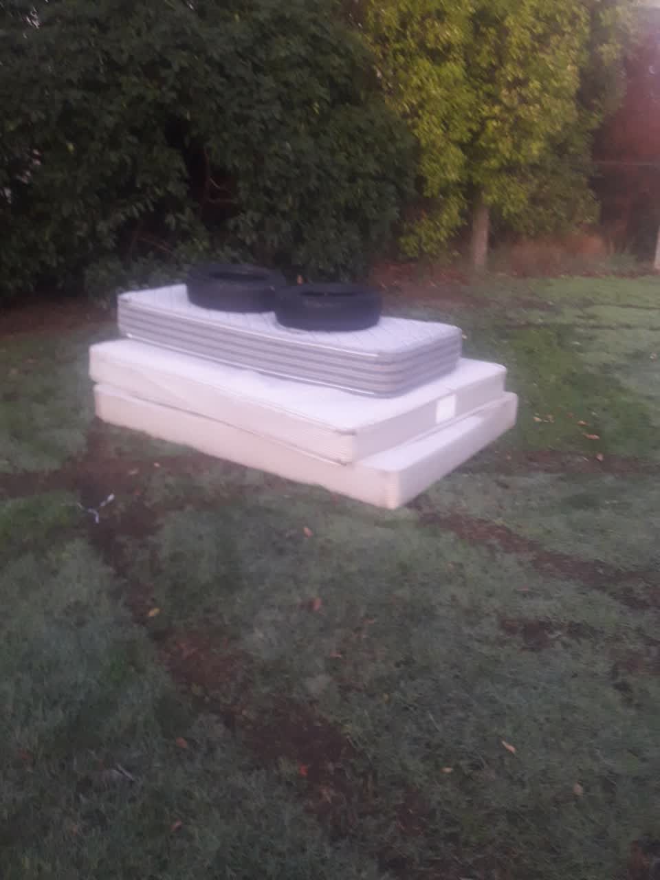 The photograph attached to this parks report