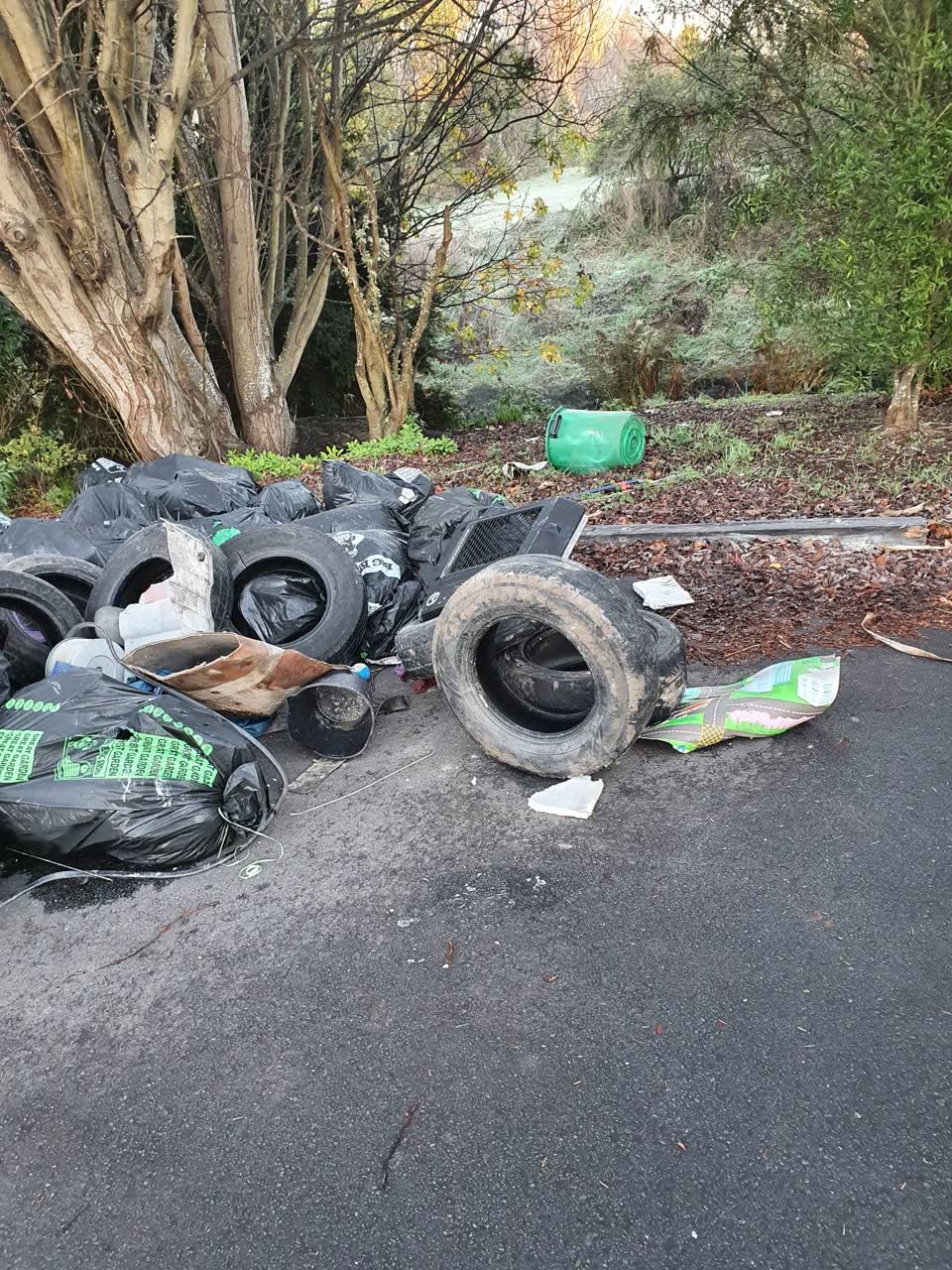The photograph attached to this rubbish/recycling report