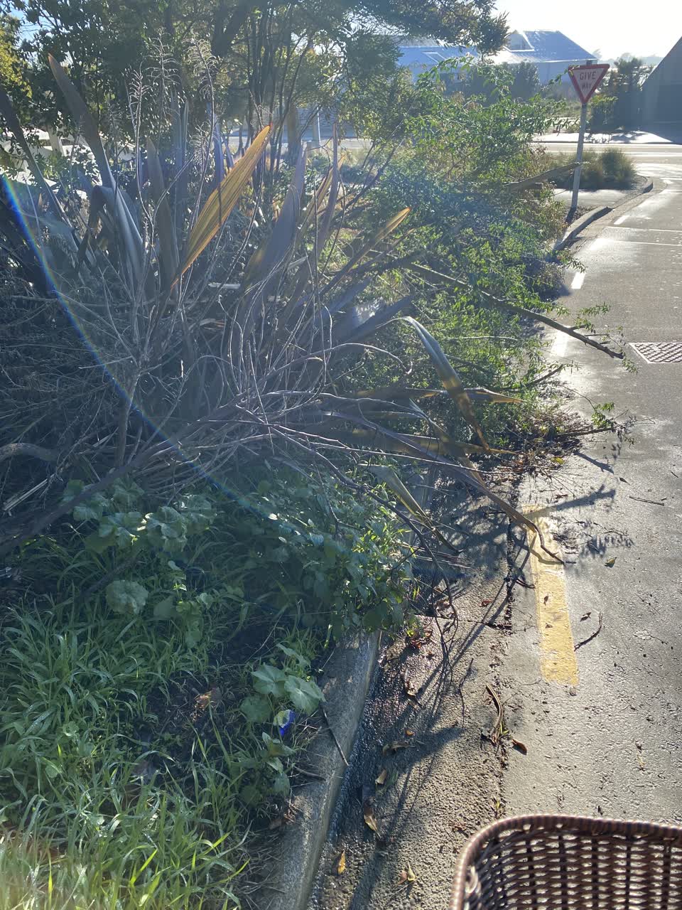 The photograph attached to this parks report