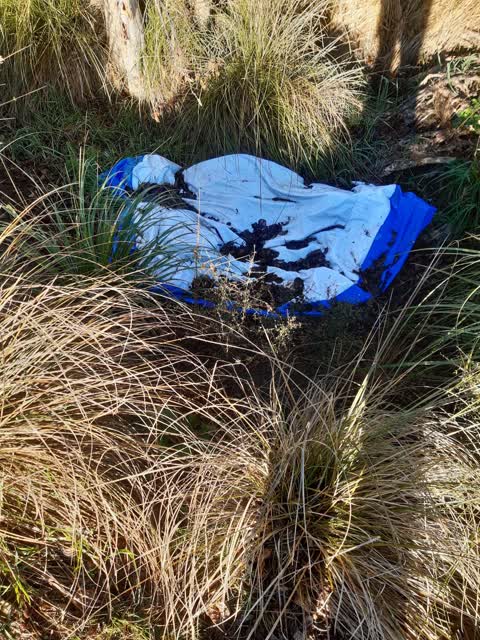 Parks, a report photo