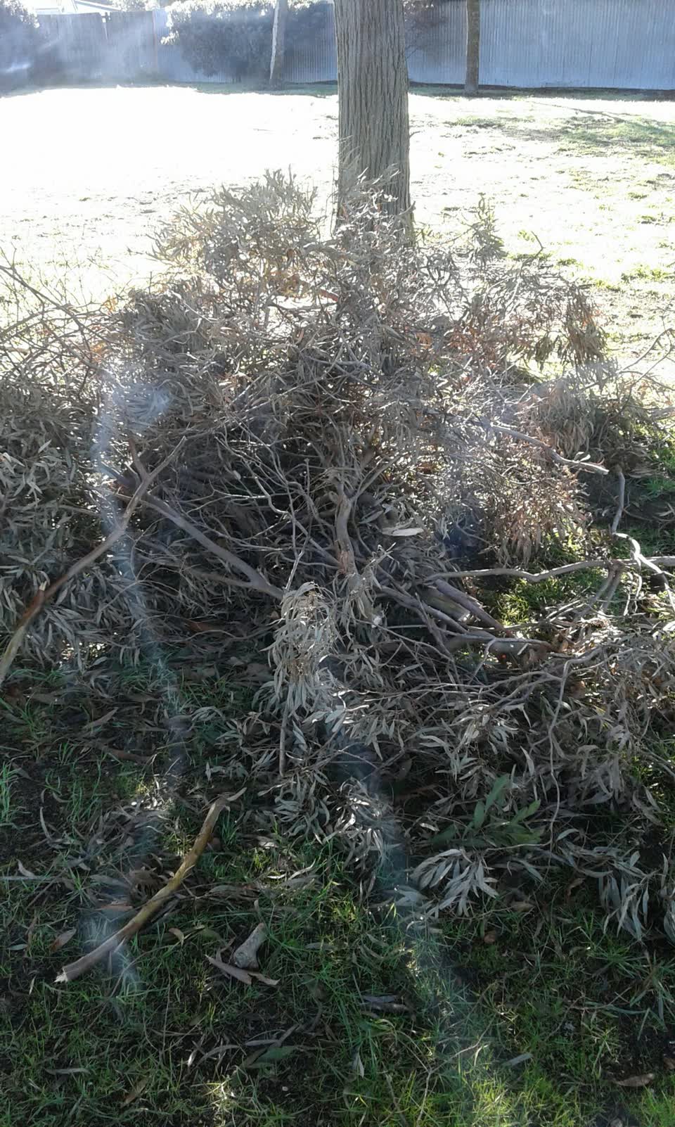 The photograph attached to this parks report