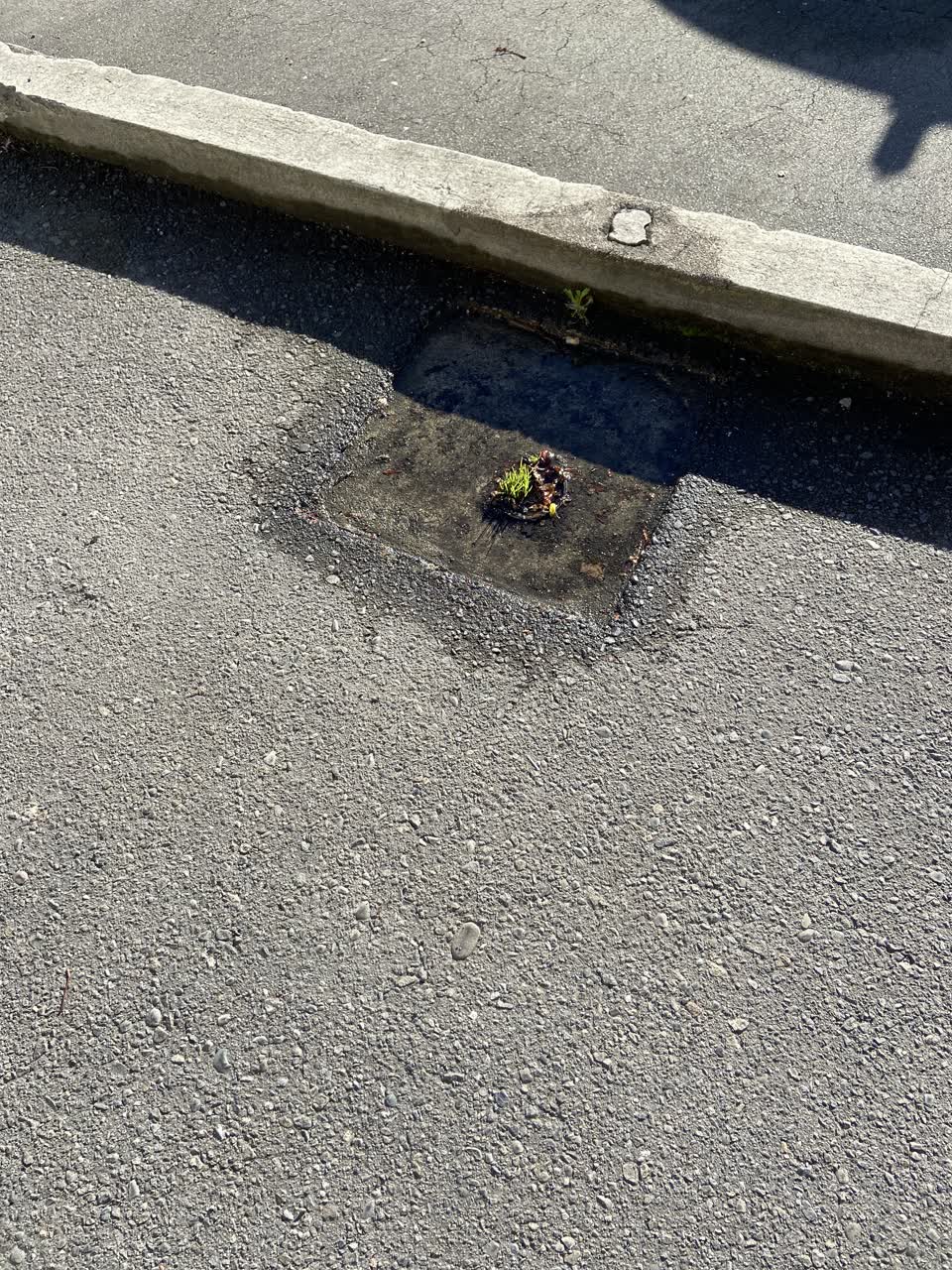 The photograph attached to this water leak report