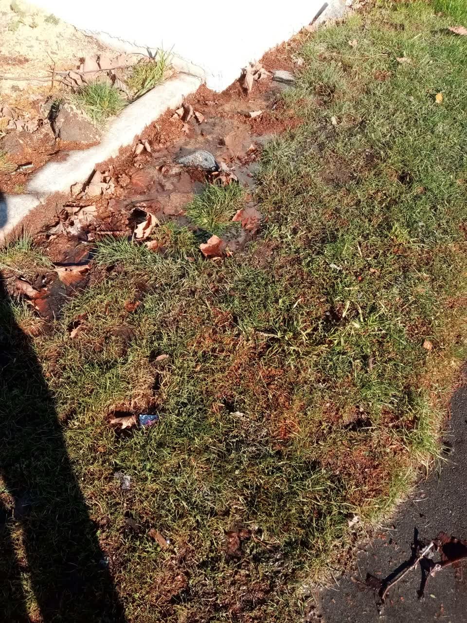 The photograph attached to this water leak report