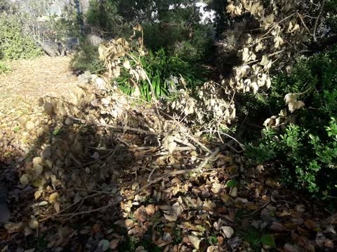Parks, a report photo