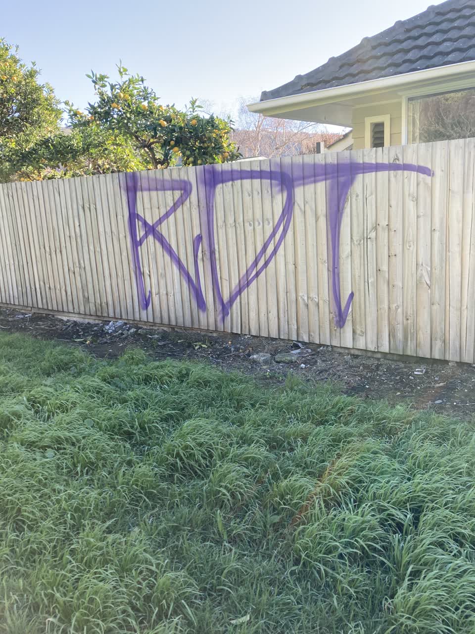 The photograph attached to this graffiti report