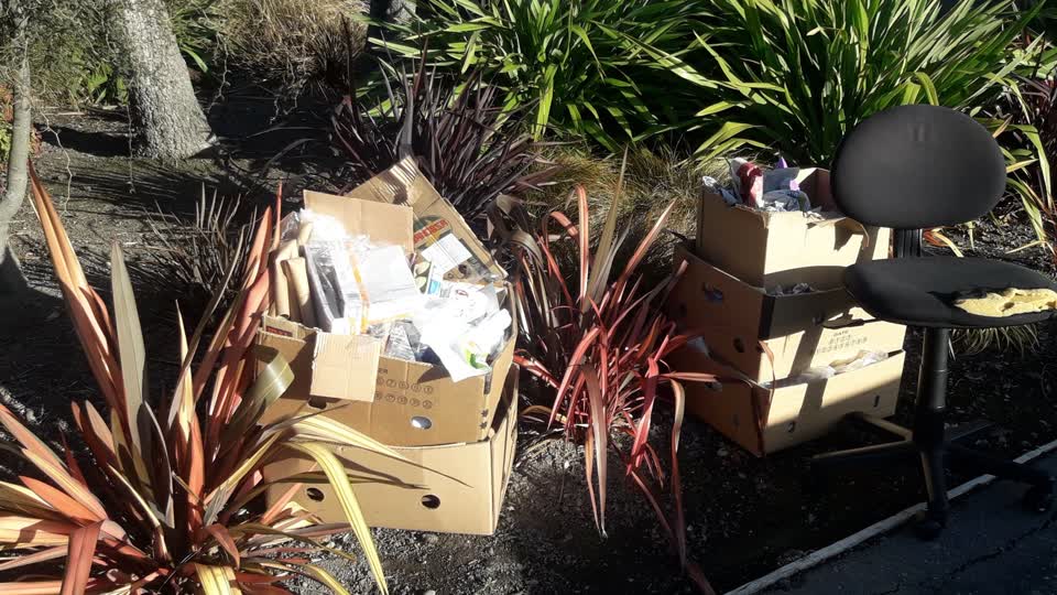 The photograph attached to this parks report