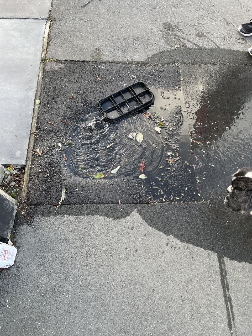The photograph attached to this water leak report