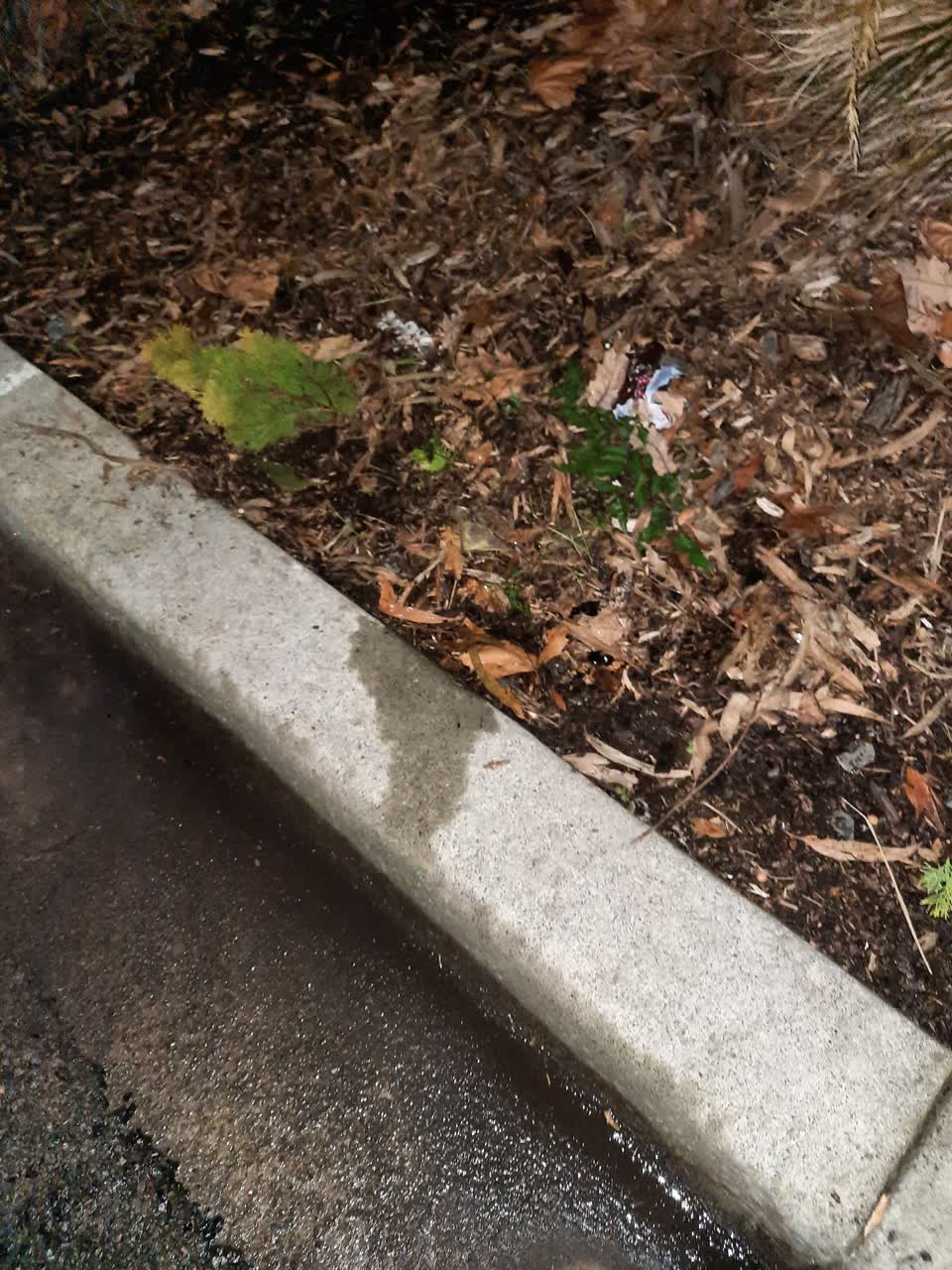 The photograph attached to this wastewater/stormwater report
