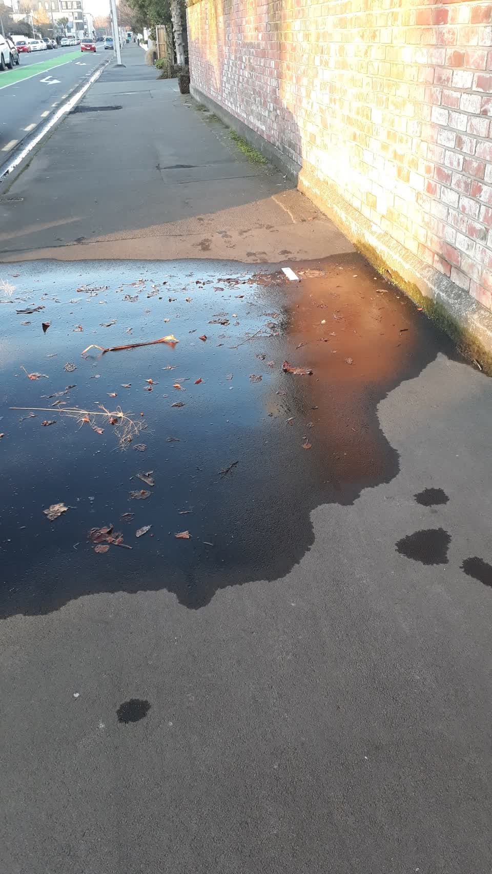 The photograph attached to this water supply report