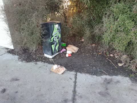 Rubbish/Recycling, a report photo