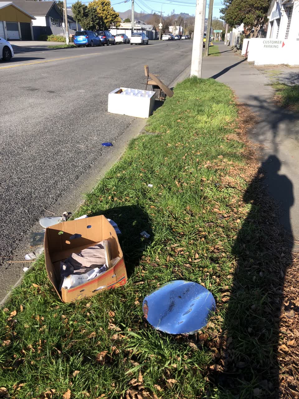 The photograph attached to this rubbish/recycling report