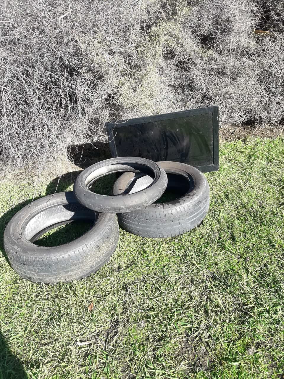 The photograph attached to this parks report